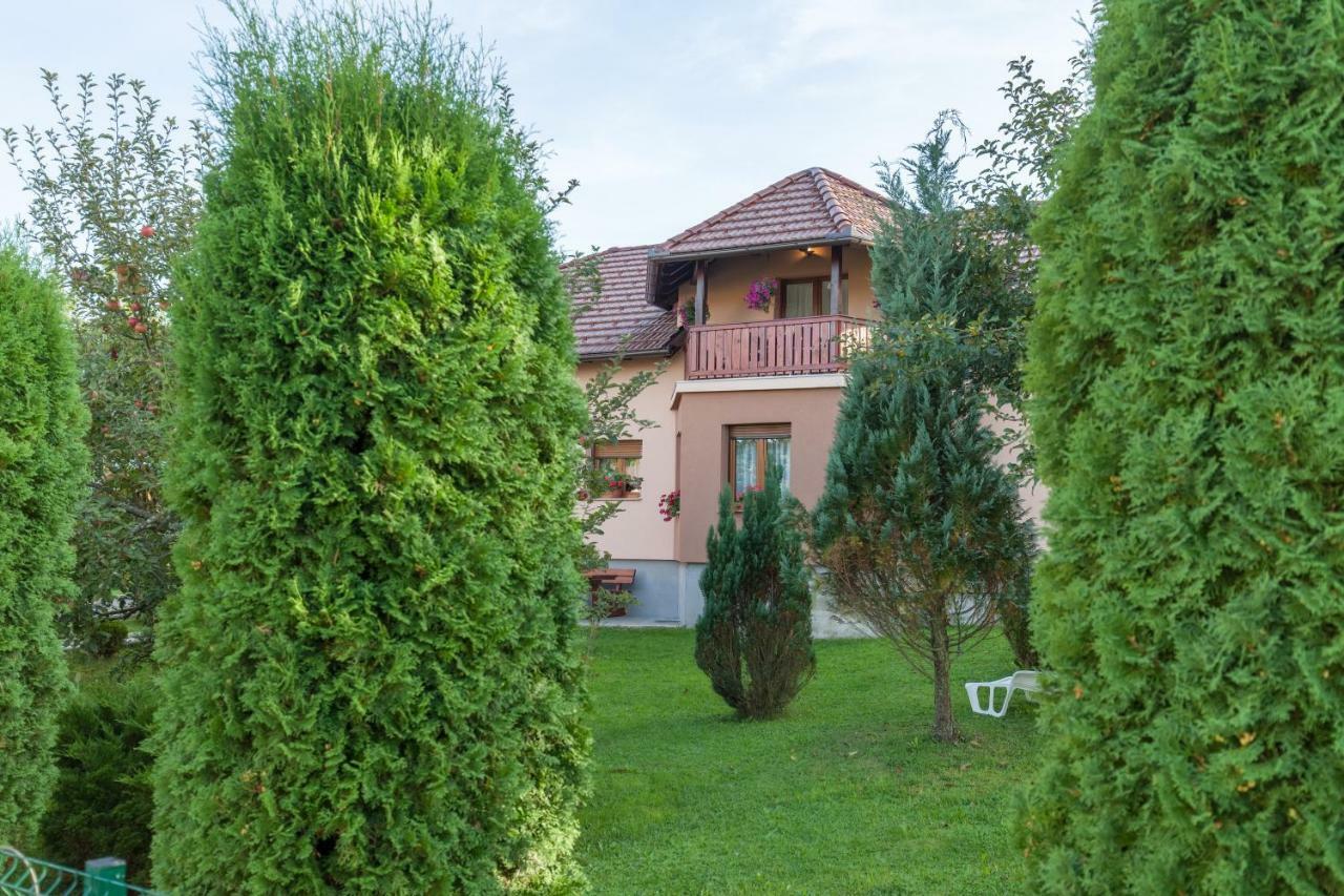Apartment Ivan & Iva Gornji Vaganac Экстерьер фото